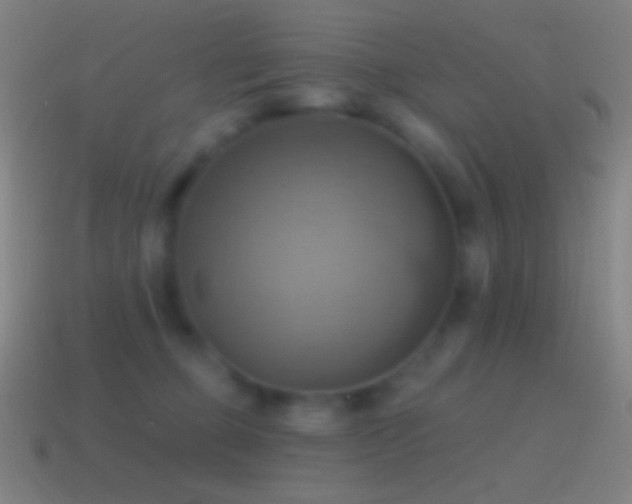 X0000115590373200911101243