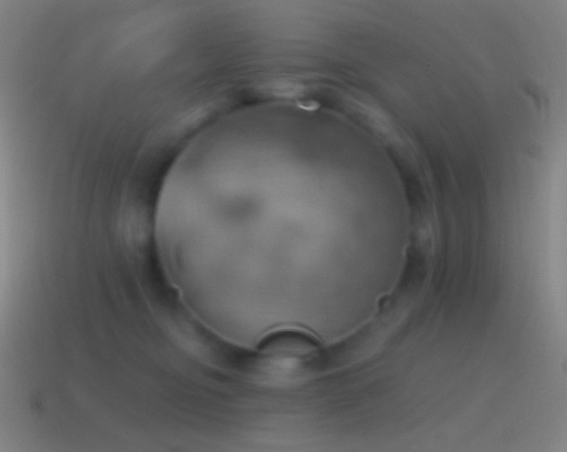 X0000115590374200911101243