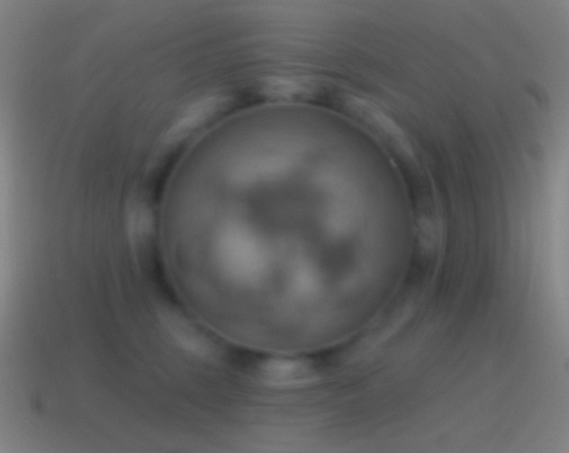 X0000115590375200911101243