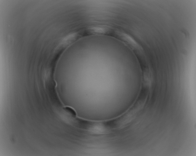 X0000115590377200911101243