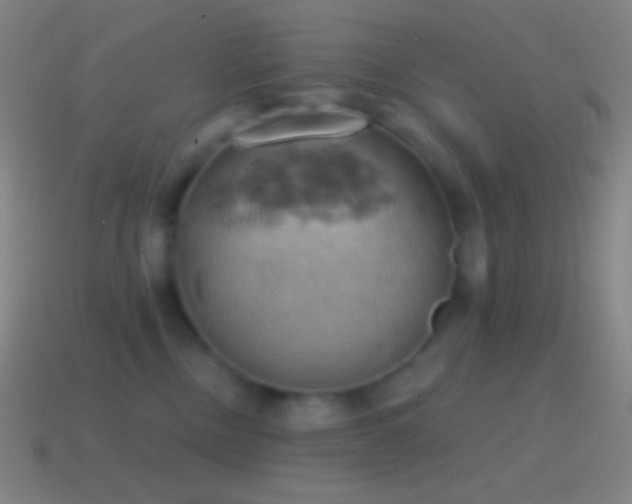X0000115590378200911101243