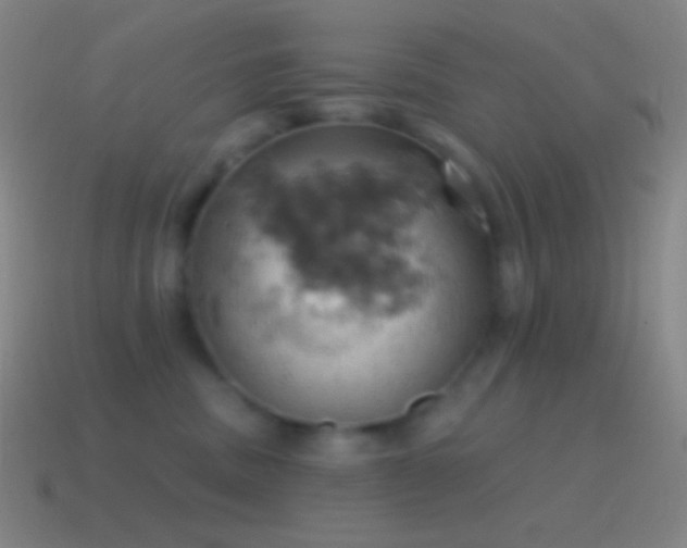 X0000115590379200911101243