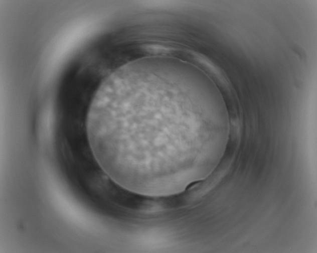 X0000115590381200911101243