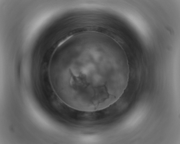 X0000115590383200911101243