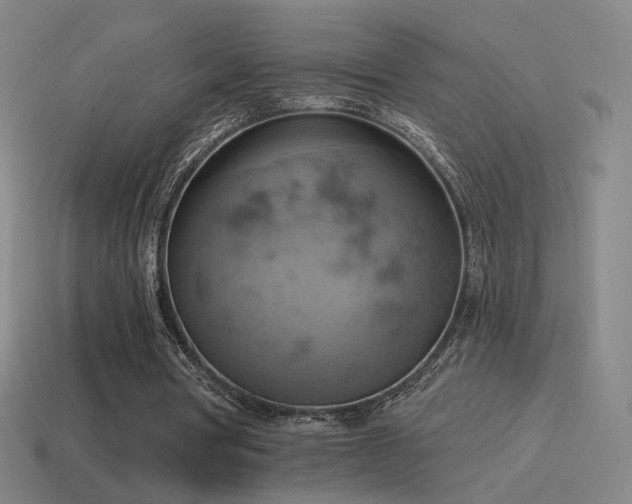 X0000115590386200911101242