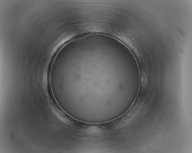X0000115590390200911101242