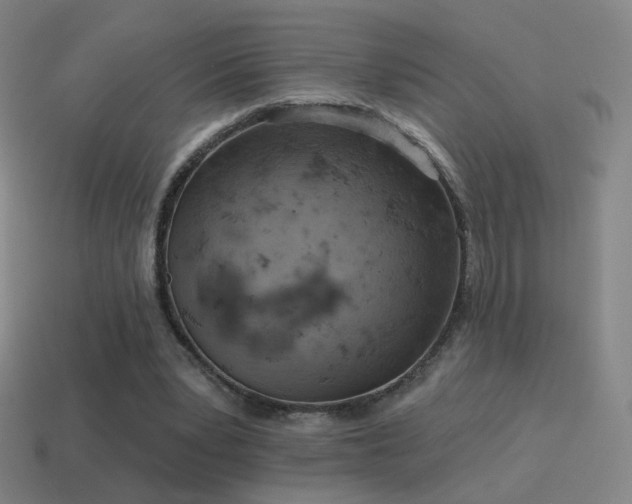 X0000115590391200911101242