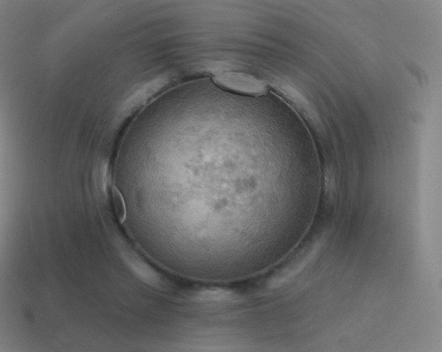 X0000115590397200911101242