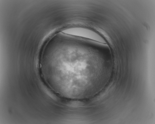 X0000115590399200911101242
