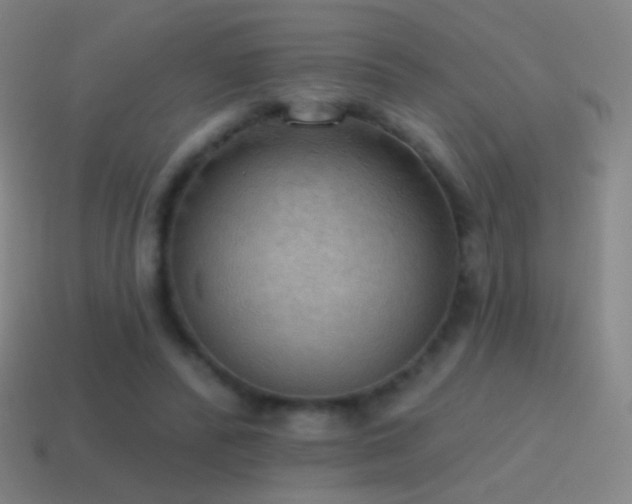 X0000115590400200911101242