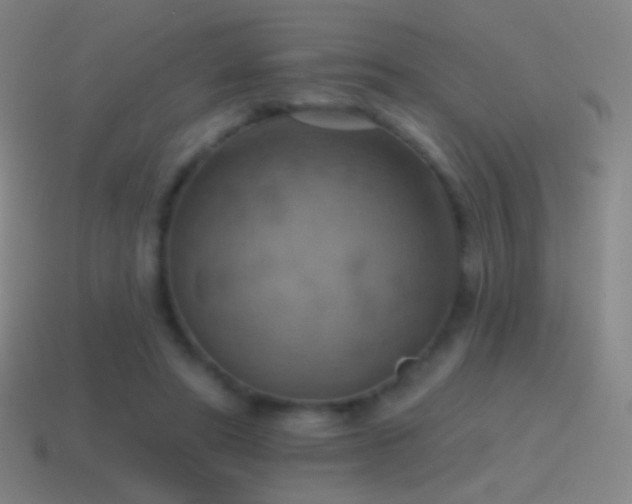 X0000115590402200911101242