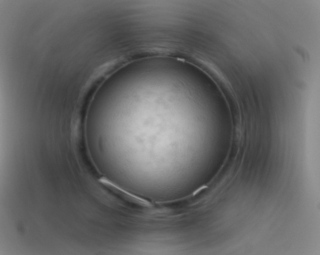 X0000115590403200911101242