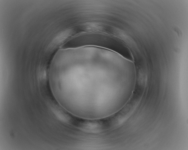 X0000115590405200911101242
