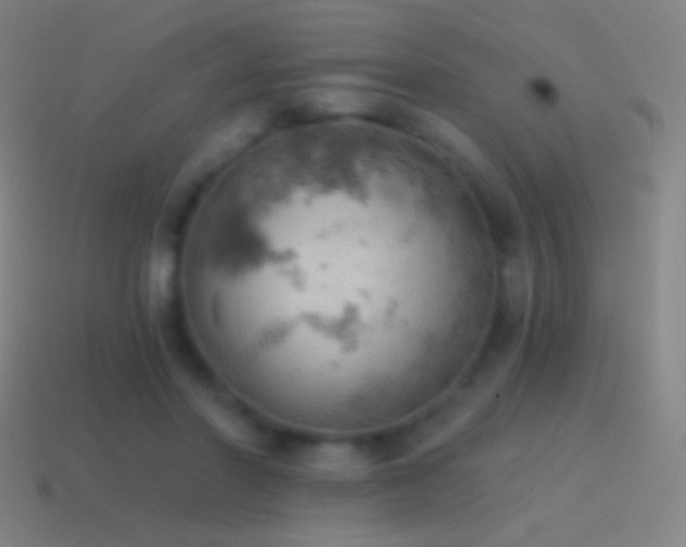 X0000115590406200911101242