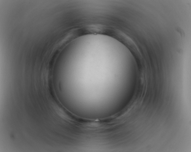X0000115590409200911101242