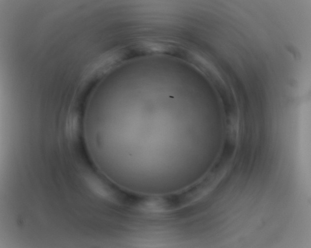 X0000115590410200911101242