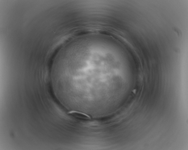 X0000115590411200911101242