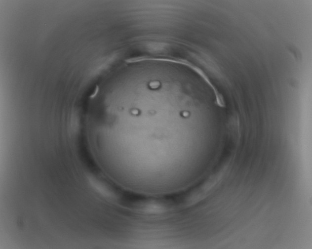 X0000115590412200911101242
