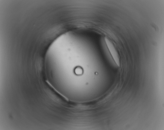 X0000115590413200911101242