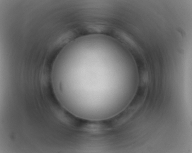 X0000115590414200911101242