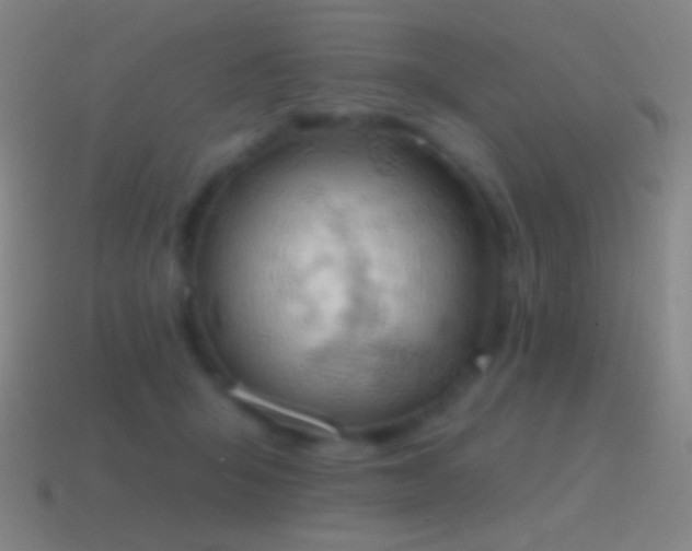 X0000115590415200911101242