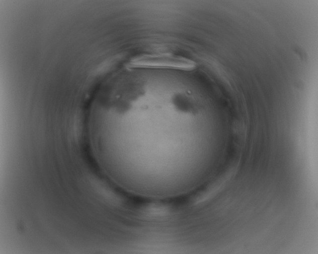 X0000115590416200911101242