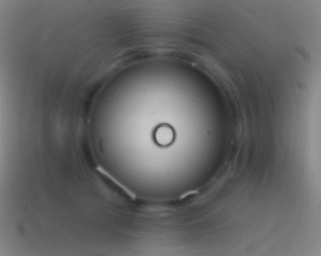 X0000115590417200911101242