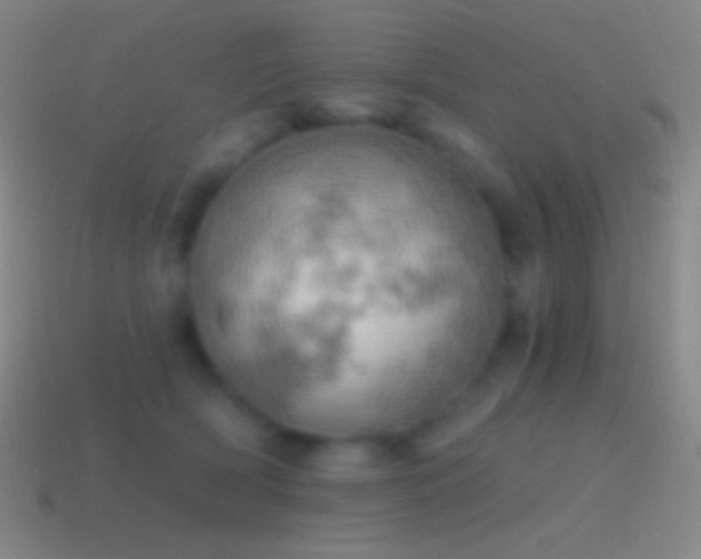 X0000115590418200911101242