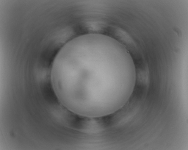 X0000115590419200911101242