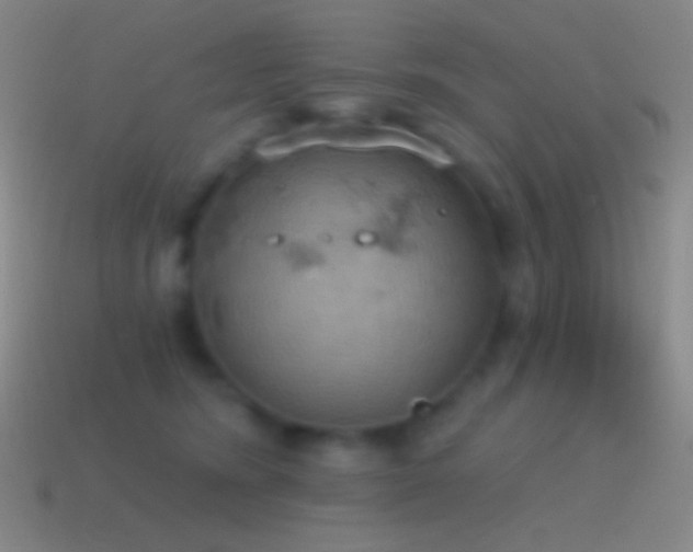 X0000115590420200911101242