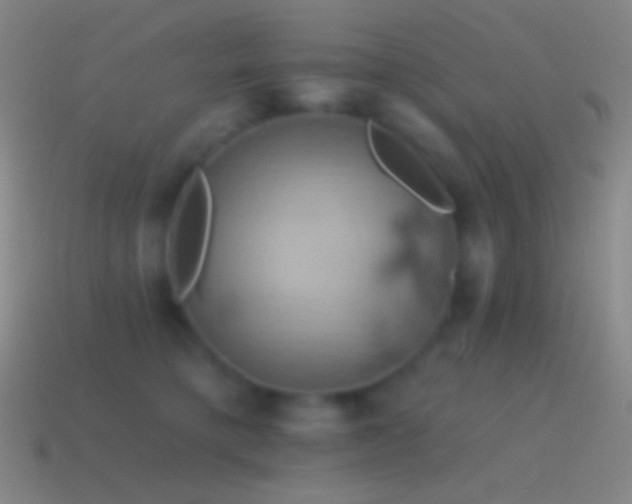 X0000115590421200911101242