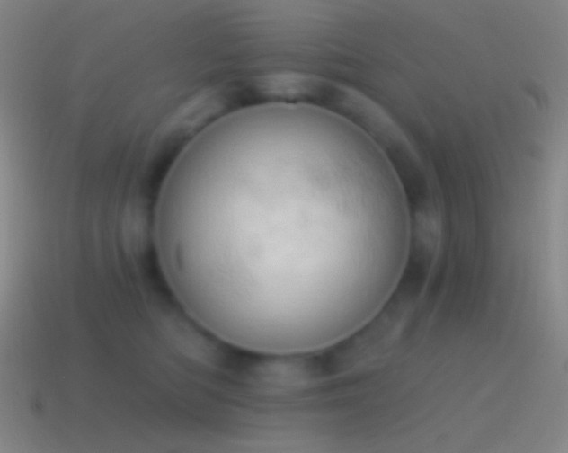 X0000115590422200911101242