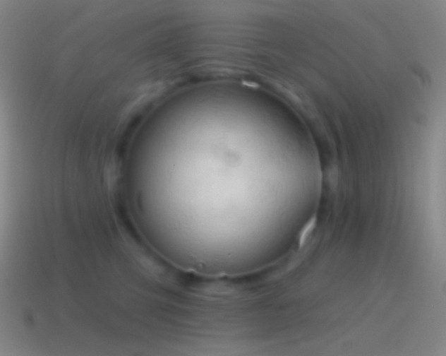 X0000115590423200911101242