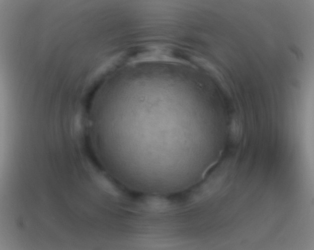 X0000115590424200911101242