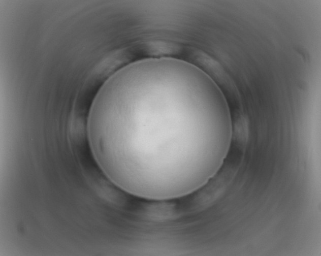 X0000115590426200911101242