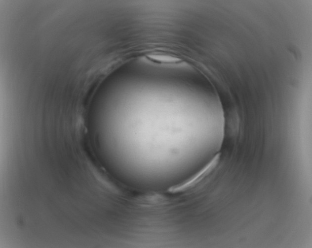 X0000115590427200911101242