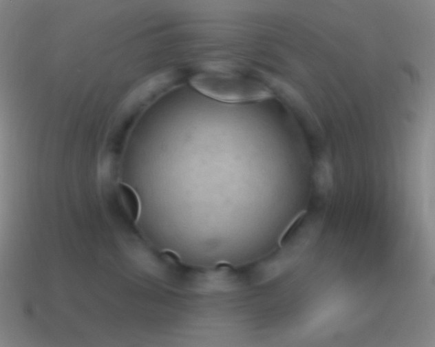 X0000115590428200911101242
