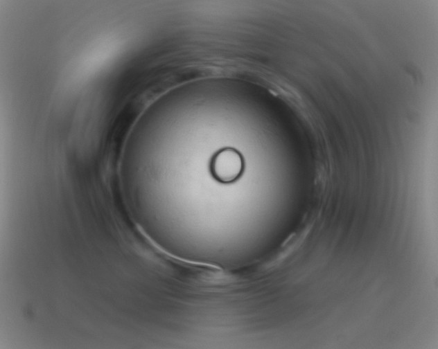 X0000115590429200911101242