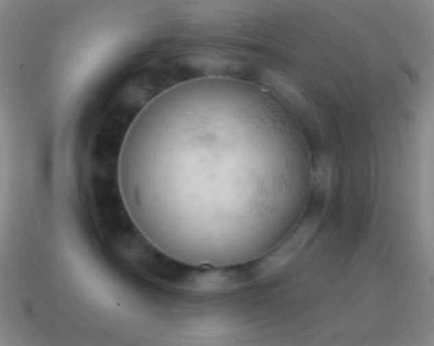 X0000115590430200911101242