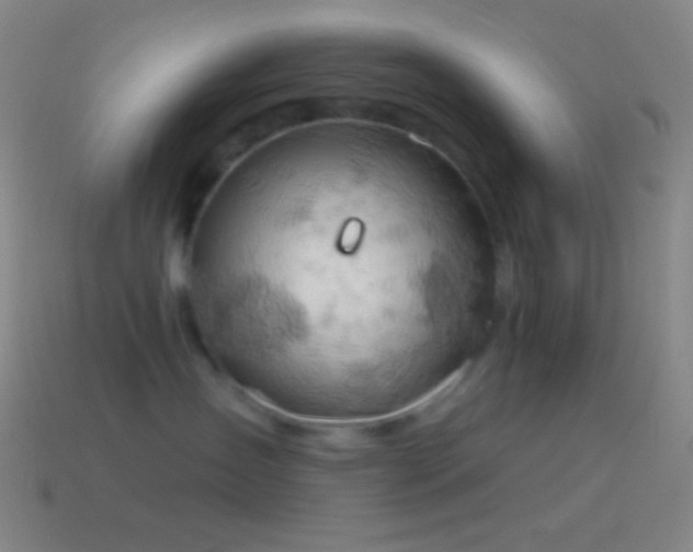 X0000115590431200911101242