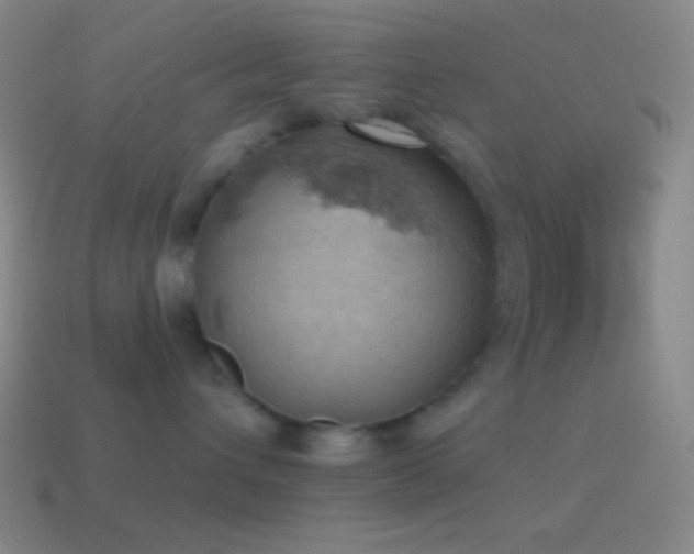 X0000115590432200911101242