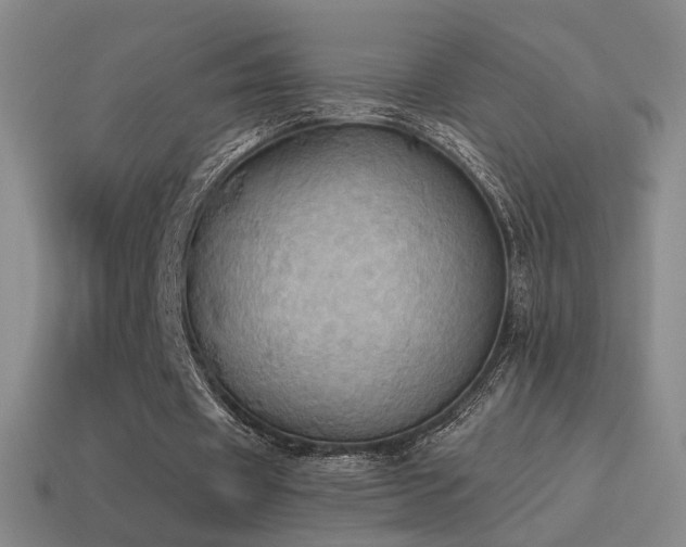 X0000115590433200911101241
