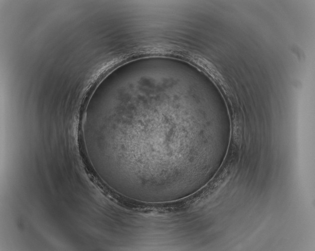 X0000115590434200911101241