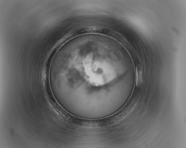 X0000115590435200911101241