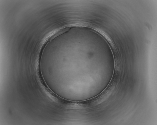 X0000115590437200911101241