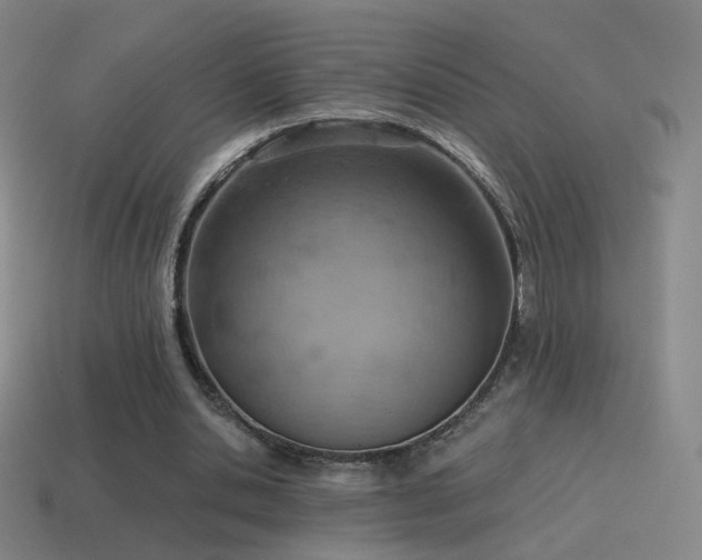 X0000115590438200911101241