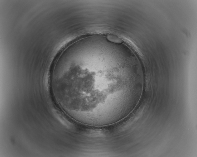 X0000115590439200911101241