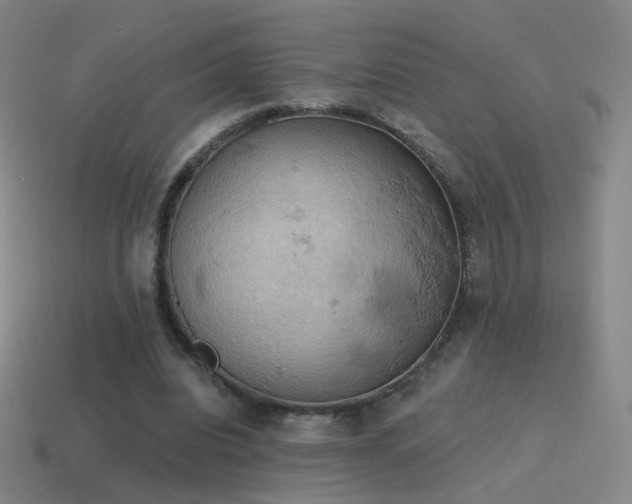 X0000115590440200911101241