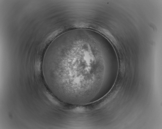 X0000115590441200911101241
