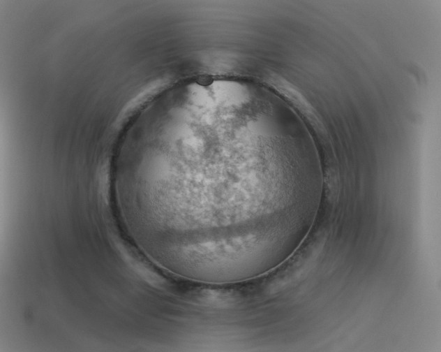 X0000115590442200911101241